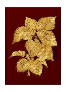 Gold White Mulberry Plant Botanical on Red