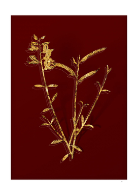 Gold Spanish Broom Botanical Illustration on Red