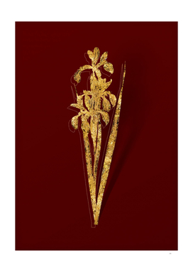 Gold Blue Iris Botanical Illustration on Red