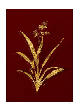 Gold Flax Lilies Botanical Illustration on Red