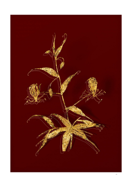Gold Flame Lily Botanical Illustration on Red