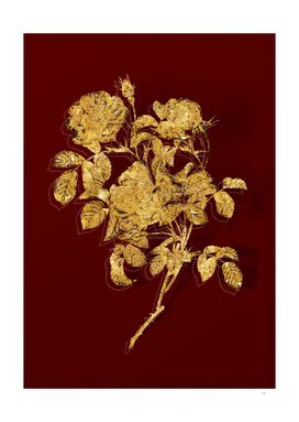 Gold Rose of Love Bloom Botanical on Red