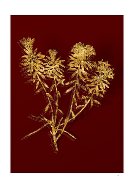 Gold Garland Flowers Botanical Illustration on Red