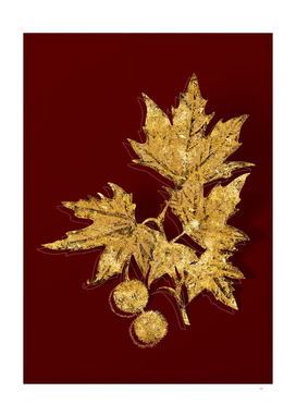 Gold Old World Sycamore Botanical on Red