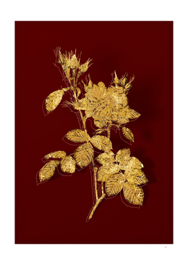 Gold Autumn Damask Rose Botanical on Red