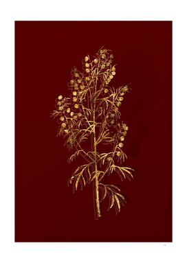 Gold Madeira Wormwood Botanical on Red