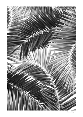 Palm Jungle Pattern #2 #tropical #wall #art