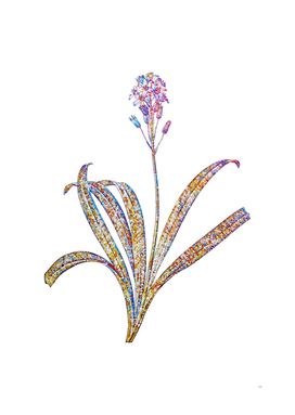 Floral Spanish Bluebell Mosaic on White