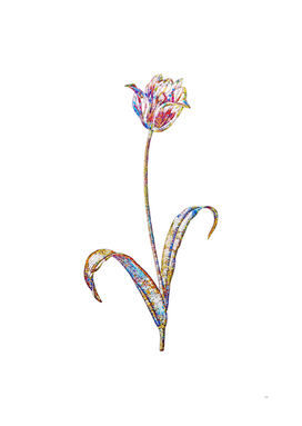 Floral Didier's Tulip Mosaic on White