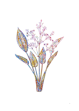 Floral European Water Plantain Mosaic on White