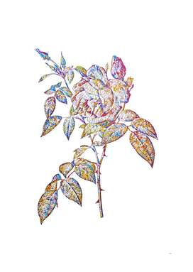 Floral Fragrant Rosebush Mosaic on White