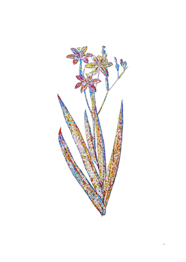 Floral Blackberry Lily Mosaic on White