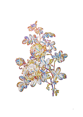Floral Sulphur Rose Mosaic on White