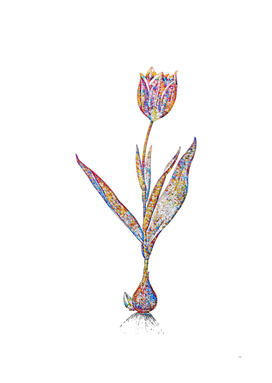 Floral Tulip Mosaic on White