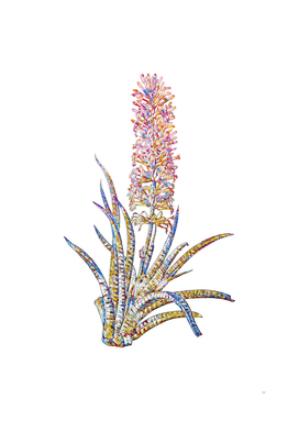 Floral Snake Plant Mosaic on White
