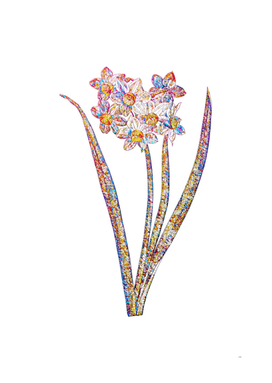 Floral Narcissus Easter Flower Mosaic on White