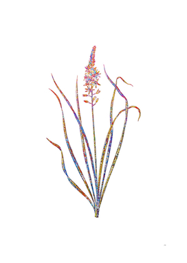 Floral Wild Asparagus Mosaic on White
