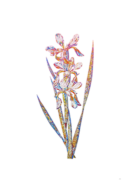 Floral Yellow Banded Iris Mosaic on White