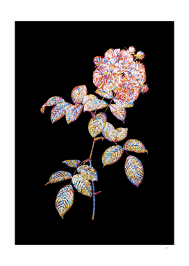 Floral Seven Sisters Roses Mosaic on Black
