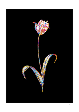 Floral Didier's Tulip Mosaic on Black