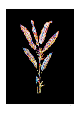 Floral Parrot Heliconia Mosaic on Black