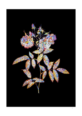Floral Hudson Rose Mosaic on Black