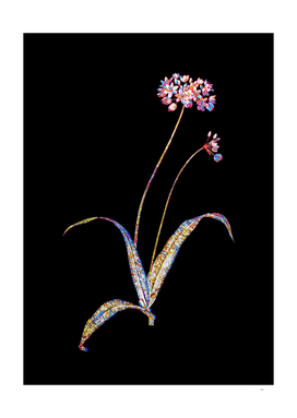 Floral Spring Garlic Mosaic on Black