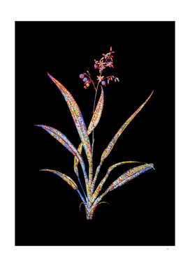 Floral Flax Lilies Mosaic on Black