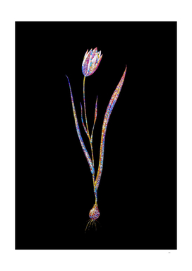 Floral Lady Tulip Mosaic on Black