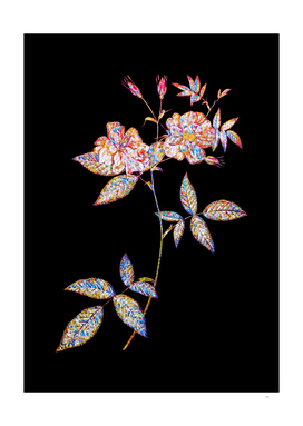 Floral Hudson Rosehip Mosaic on Black