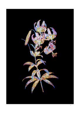 Floral Turban Lily Mosaic on Black