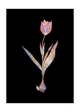 Floral Tulip Mosaic on Black