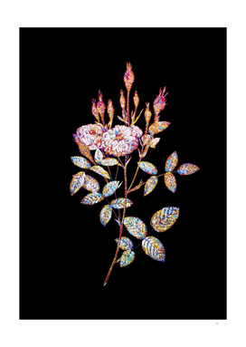 Floral Mossy Pompon Rose Mosaic on Black