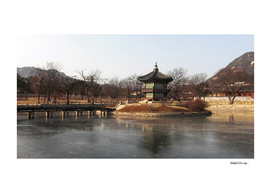 Korean Palace Grounds