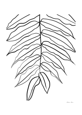 Long leaves minimal line art