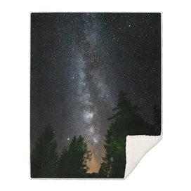Milky way above spruce forest
