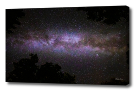 Milky way with trees silhouette