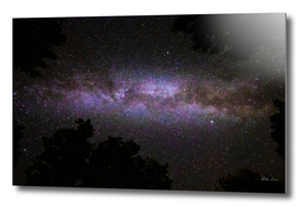 Milky way with trees silhouette