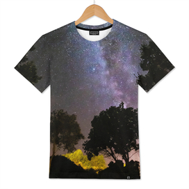 Trees landscape with milky way