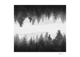 Black and white foggy mirrored forest
