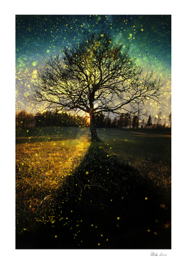 Magical fireflies dreamy landscape