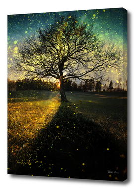 Magical fireflies dreamy landscape