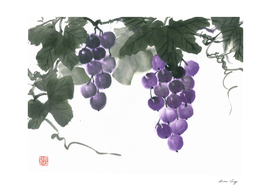 Grapes on branch
