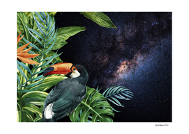 Tropical Space Garden #14: Toucan