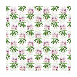 Vintage Common Rhododendron Pattern on White
