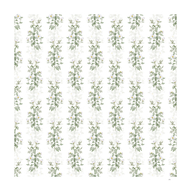 Vintage Hedge Rose Botanical Pattern on White