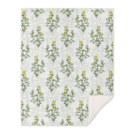 Vintage Yellow Buttercup Flowers Pattern on White