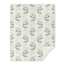 Vintage Spanish Jasmine Botanical Pattern on White