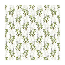 Vintage Garden Sage Botanical Pattern on White