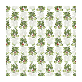 Lingonberry Evergreen Shrub Pattern on White